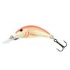 Salmo Hornet 2,5 cm S - no-10 - 25-cm - 05-m - 15-g - uvo - h2s - potapavy